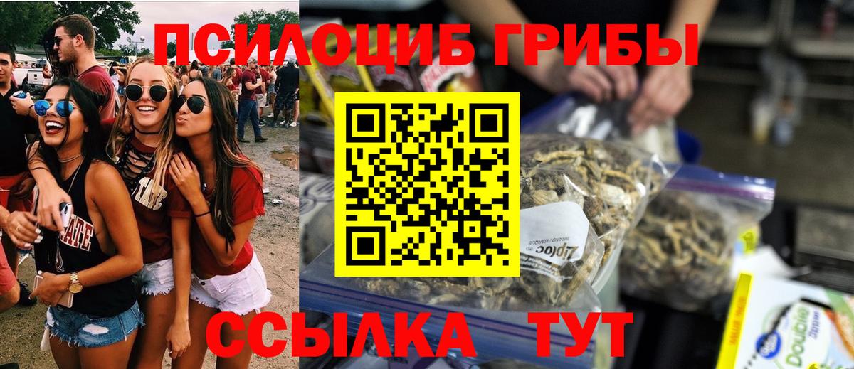 Гатчина  Галлюциногенные грибы прущие грибы  наркошоп  Вход с VPN  Галлюциногенные грибы мухоморы 
